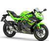 Motocicleta Kawasaki Ninja 125 (2018 - 2024)